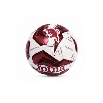 TORINO F.C. MINIBALL 2026/27